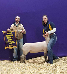Doty CLub Lambs Winners